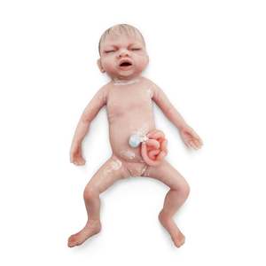 18 Neonatal Simulation: Baby Libby Gastrochisis