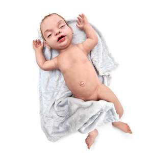Infant Holly