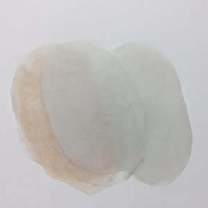 32 Skins Membranes Tissue Consumables: Fascia Membranes