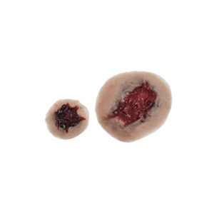 19 Trauma Stick On Moulage Sheets: Sheet Shotwounds - Small 2 Set