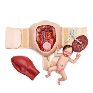 Products: Wearable C-Section Model & Baby Aiden