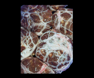 Other Meats: Skilpadjies (6 pieces)