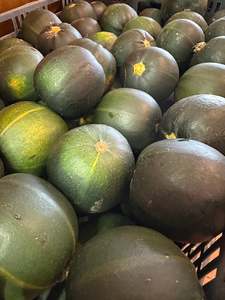 Pumpkin / Gems each
