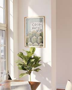 All: FIVE DOLLAR COCONUTS - FRAMED