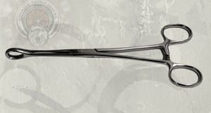 Forceps Oval