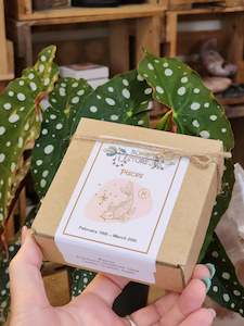Pisces Zodiac Box