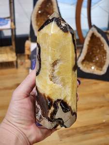 Towers: Large Septarian Drusy point