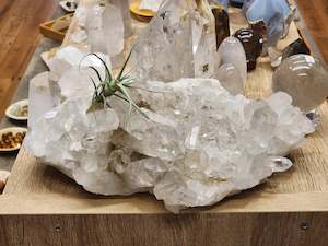 Lemurian Quartz Cluster