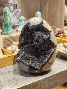 Cut Base Septarian Egg