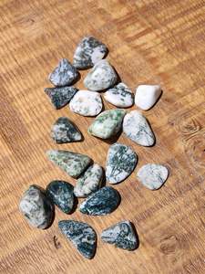 Crystals: Tree agate