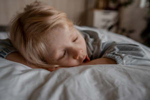 Furniture And Bedding: Wisewool™ Pillow Duvet