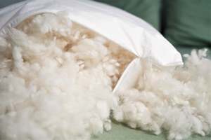 Furniture And Bedding: Wisewool™ Cushion Inners