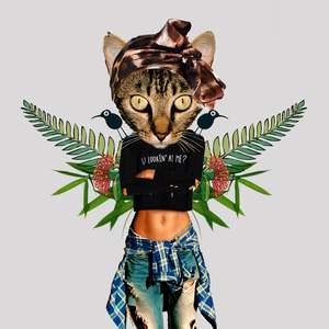Nzposters: Downloadable You lookin' at me? Kiwiana Poster
