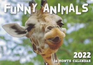 Calendars Diaries: Calendar (Rectangle) - Funny Animals