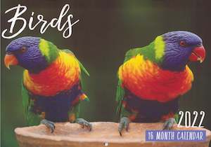 Calendars Diaries: Calendar (Rectangle) - Birds
