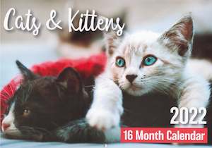 Calendars Diaries: Calendar (Rectangle) - Cats And Kittens