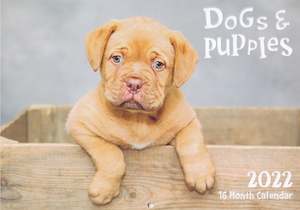 Calendars Diaries: Calendar (Rectangle) - Dogs And Puppies