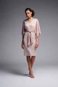 Products: Joseph Ribkoff Shimmer Dress