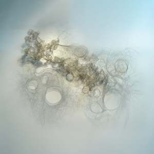 Exhalation #3