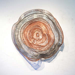 Eric Gushee: Emergence C.S. Series #1