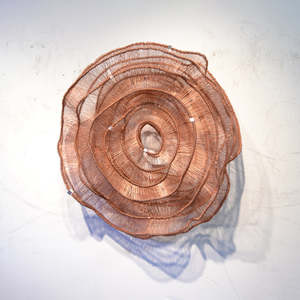 Eric Gushee: Emergence C Series #6