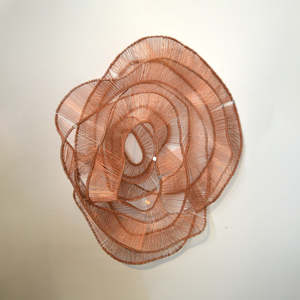 Emergence C Series #1