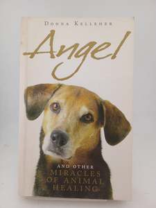 Nature: Angel : And Other Miracles of Holistic Animal Healing by Donna Kelleher