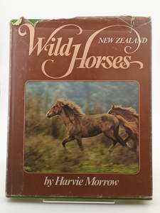 Animals: New Zealand Wild Horses by Harvie Morrow