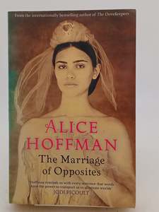 The Marriage of Opposites by Alice Hoffman