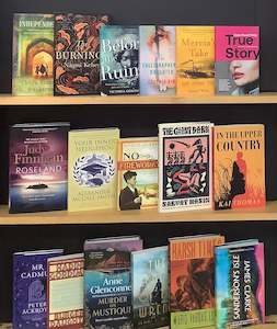Literature Bargain Book Box 20 (17 Books)