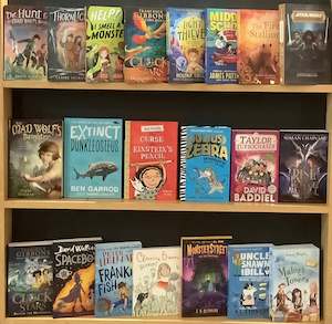 Chapter Book (Age 8-12) Bargain Book Box