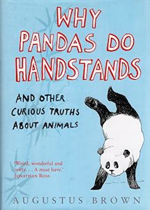 Why Pandas Do Handstands...
