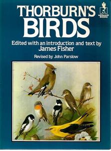 Animals: Thorburn's Birds by Archibald Thorburn