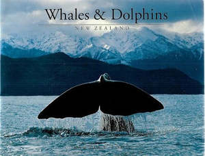 Whales & Dolphins, Kaikoura, New Zealand by Barbara Todd