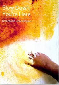 New Zealand Fiction: Slow Down, Youre Here by Brannavan Gnanalingam