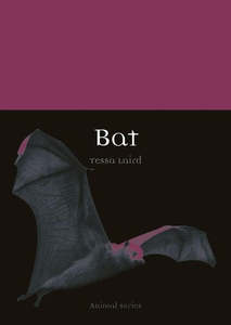 Bat (Animal Series) by Tessa Laird
