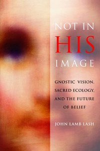 Religion: Not In His Image: Gnostic Vision, Sacred Ecology, And The Future Of Belief by John Lamb Lash