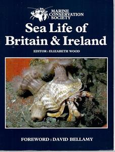 Animals: Sea Life Of Britain & Ireland by Elizabeth Wood
