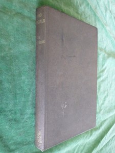 1960 Ford Specials – Books and Toys