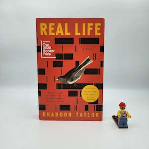 Real Life - Brandon Taylor