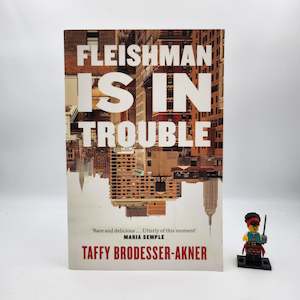 Adult: Fleishman Is in Trouble - Taffy Brodesser-Akner