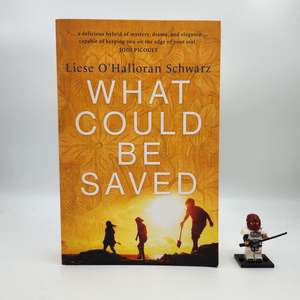B Grade: What Could Be Saved - Liese O'Halloran Schwarz