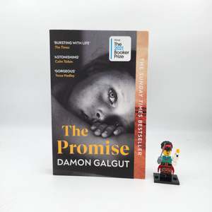 Literary Fiction: The Promise - Damon Galgut