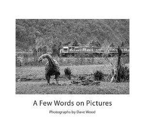 A Few Words on Pictures