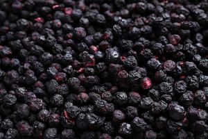 Organic Wild Freeze Dried Whole Blueberries