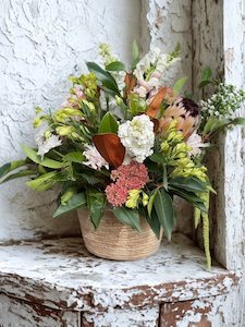 Beautifully Brilliant - Botanic Fusion Florist