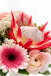Products: Fresh Flowers Delivered to the oodr Florist Havelock North - Botanic Fusion