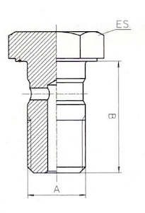 copy of B & H Standard - Banjo bolt