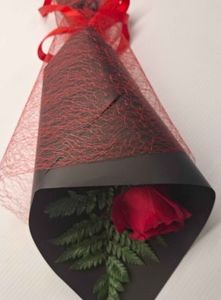 Single Red Rose