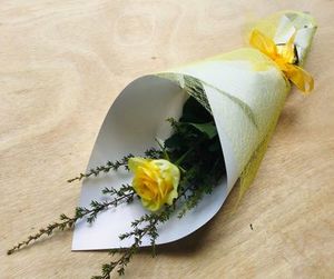 Coloured Rose